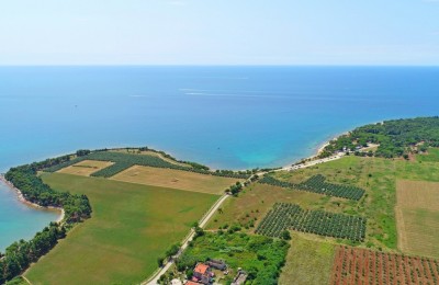 Building land first row to the sea in Novigrad, Istria 3